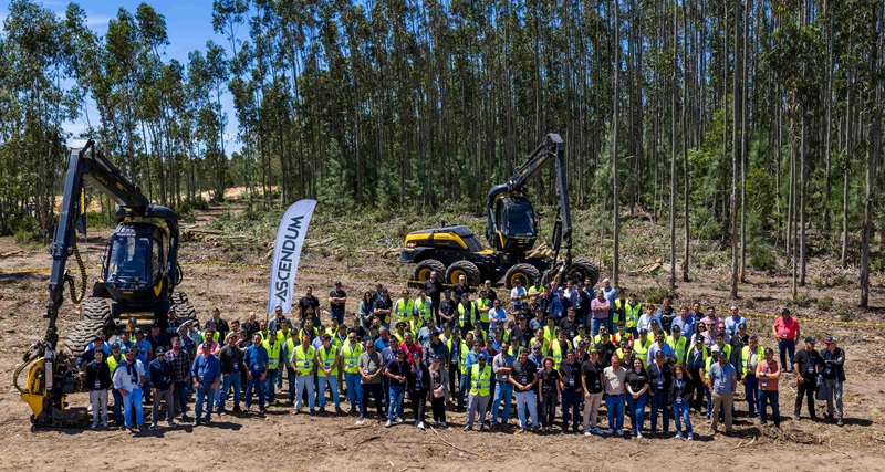 ASCENDUM EXPERIENCE - DESAFIO FLORESTAL